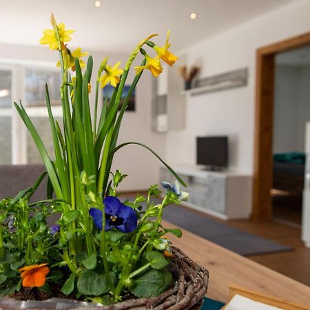 Ferienwohnung Pedit Таренц Екстериор снимка