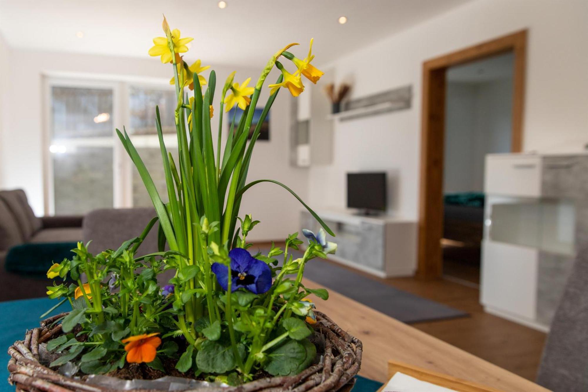 Ferienwohnung Pedit Таренц Екстериор снимка
